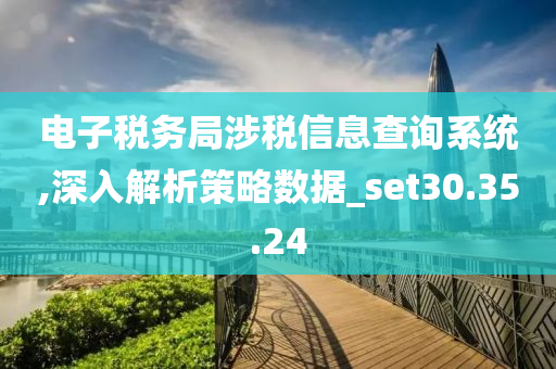 电子税务局涉税信息查询系统,深入解析策略数据_set30.35.24