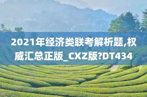 2021年经济类联考解析题,权威汇总正版_CXZ版?DT434