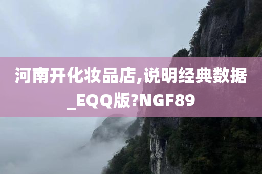 河南开化妆品店,说明经典数据_EQQ版?NGF89