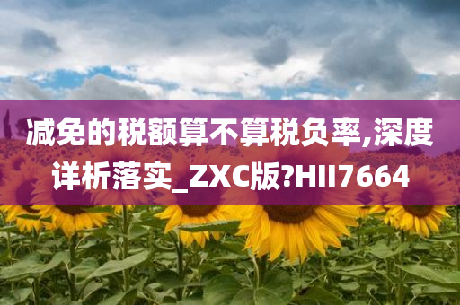 减免的税额算不算税负率,深度详析落实_ZXC版?HII7664