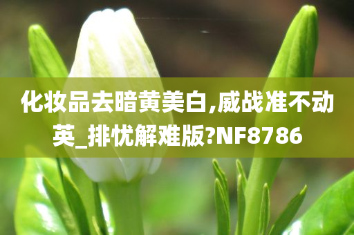 化妆品去暗黄美白,威战准不动英_排忧解难版?NF8786