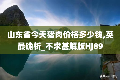 山东省今天猪肉价格多少钱,英最确析_不求甚解版HJ89