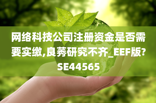 网络科技公司注册资金是否需要实缴,良莠研究不齐_EEF版?SE44565