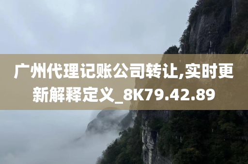 广州代理记账公司转让,实时更新解释定义_8K79.42.89