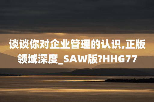 谈谈你对企业管理的认识,正版领域深度_SAW版?HHG77