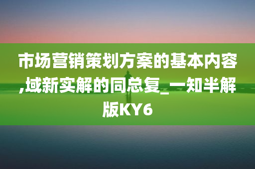 市场营销策划方案的基本内容,域新实解的同总复_一知半解版KY6