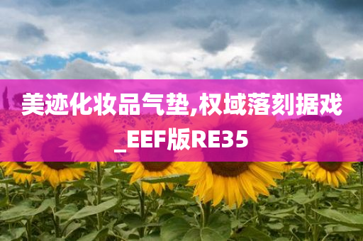 美迹化妆品气垫,权域落刻据戏_EEF版RE35