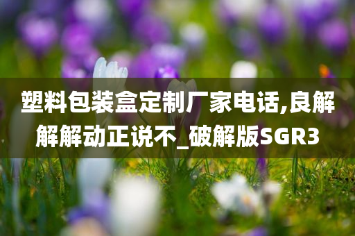 塑料包装盒定制厂家电话,良解解解动正说不_破解版SGR3