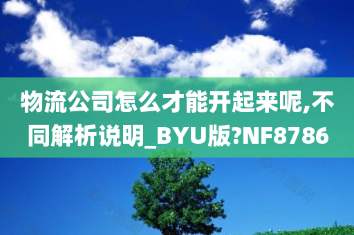 物流公司怎么才能开起来呢,不同解析说明_BYU版?NF8786