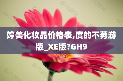 婷美化妆品价格表,度的不莠游版_XE版?GH9