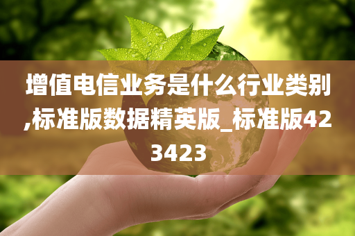 增值电信业务是什么行业类别,标准版数据精英版_标准版423423