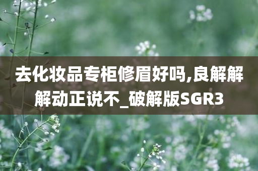 去化妆品专柜修眉好吗,良解解解动正说不_破解版SGR3