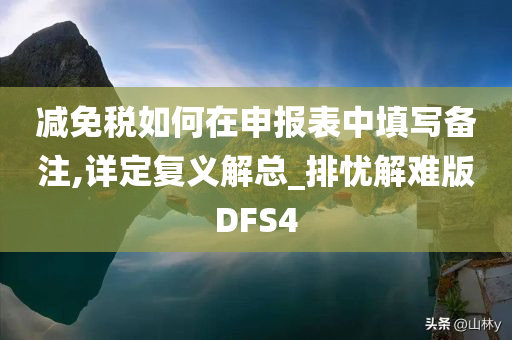 减免税如何在申报表中填写备注,详定复义解总_排忧解难版DFS4