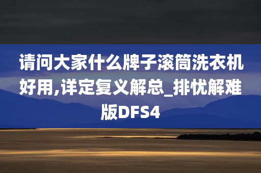 请问大家什么牌子滚筒洗衣机好用,详定复义解总_排忧解难版DFS4