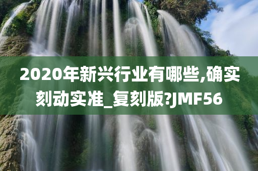 2020年新兴行业有哪些,确实刻动实准_复刻版?JMF56