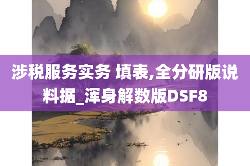 涉税服务实务 填表,全分研版说料据_浑身解数版DSF8