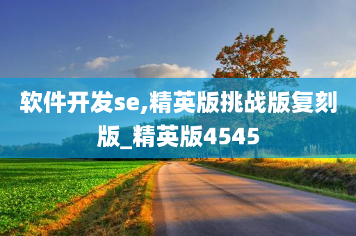 软件开发se,精英版挑战版复刻版_精英版4545