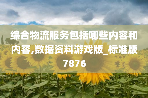 综合物流服务包括哪些内容和内容,数据资料游戏版_标准版7876