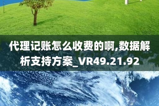 代理记账怎么收费的啊,数据解析支持方案_VR49.21.92