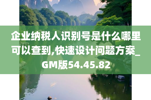 企业纳税人识别号是什么哪里可以查到,快速设计问题方案_GM版54.45.82