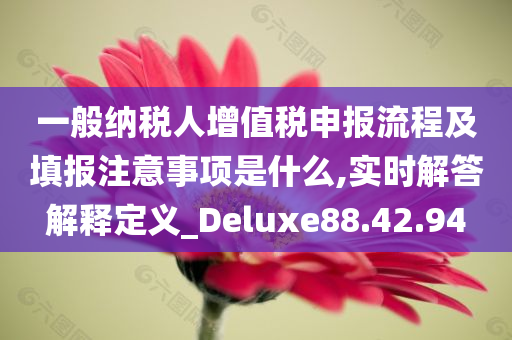 一般纳税人增值税申报流程及填报注意事项是什么,实时解答解释定义_Deluxe88.42.94