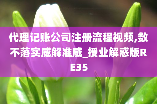 代理记账公司注册流程视频,数不落实威解准威_授业解惑版RE35