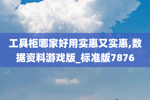 工具柜哪家好用实惠又实惠,数据资料游戏版_标准版7876