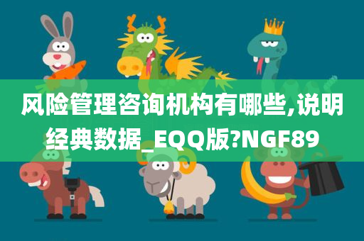 风险管理咨询机构有哪些,说明经典数据_EQQ版?NGF89