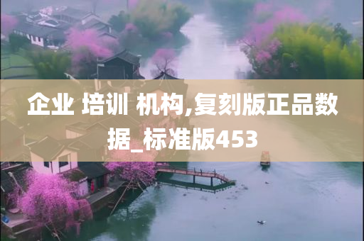 企业 培训 机构,复刻版正品数据_标准版453