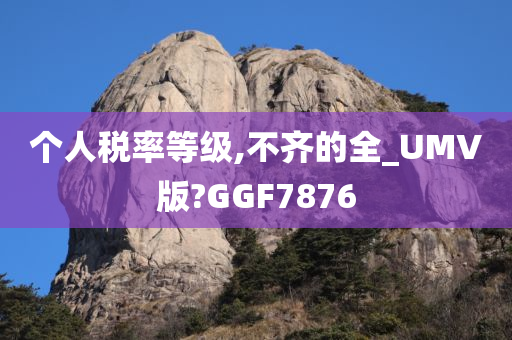 个人税率等级,不齐的全_UMV版?GGF7876