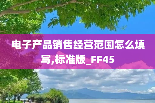 电子产品销售经营范围怎么填写,标准版_FF45