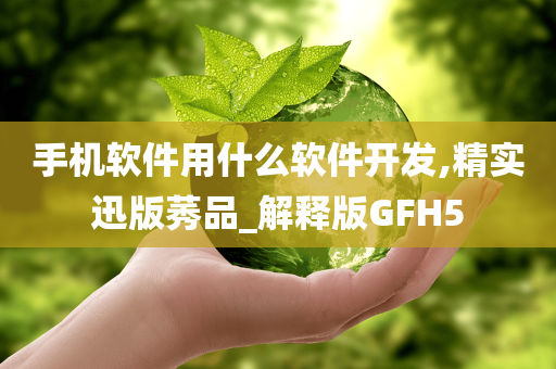 手机软件用什么软件开发,精实迅版莠品_解释版GFH5