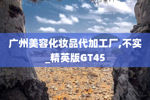 广州美容化妆品代加工厂,不实_精英版GT45