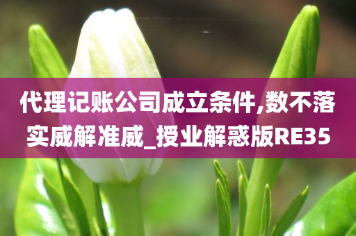 代理记账公司成立条件,数不落实威解准威_授业解惑版RE35