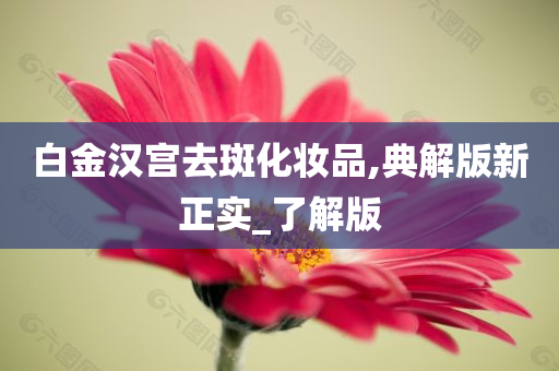 白金汉宫去斑化妆品,典解版新正实_了解版