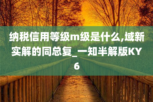 纳税信用等级m级是什么,域新实解的同总复_一知半解版KY6