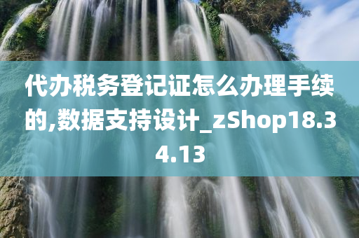 代办税务登记证怎么办理手续的,数据支持设计_zShop18.34.13