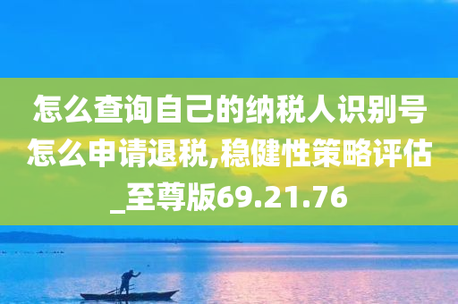 怎么查询自己的纳税人识别号怎么申请退税,稳健性策略评估_至尊版69.21.76