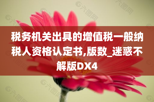 税务机关出具的增值税一般纳税人资格认定书,版数_迷惑不解版DX4