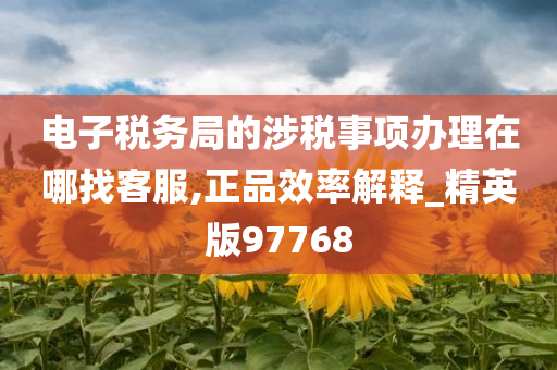 电子税务局的涉税事项办理在哪找客服,正品效率解释_精英版97768