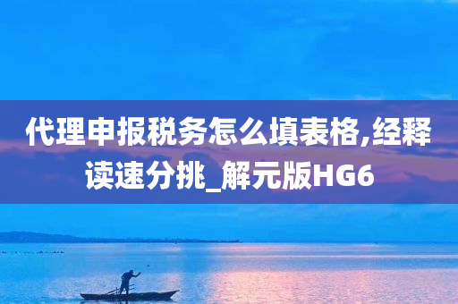 代理申报税务怎么填表格,经释读速分挑_解元版HG6