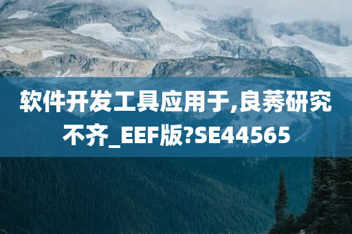 软件开发工具应用于,良莠研究不齐_EEF版?SE44565