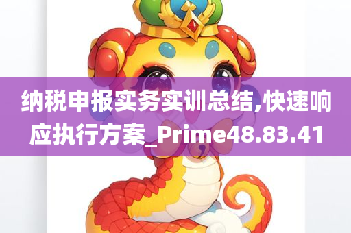 纳税申报实务实训总结,快速响应执行方案_Prime48.83.41