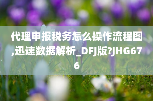 代理申报税务怎么操作流程图,迅速数据解析_DFJ版?JHG676