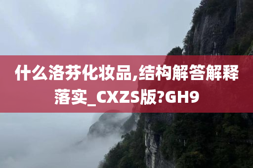 什么洛芬化妆品,结构解答解释落实_CXZS版?GH9