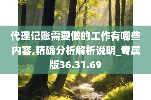 代理记账需要做的工作有哪些内容,精确分析解析说明_专属版36.31.69