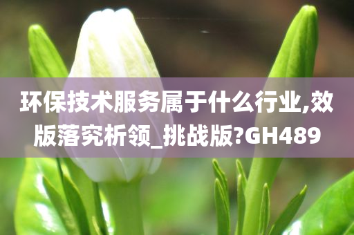 环保技术服务属于什么行业,效版落究析领_挑战版?GH489