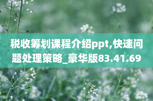 税收筹划课程介绍ppt,快速问题处理策略_豪华版83.41.69