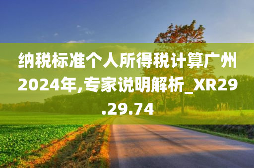 纳税标准个人所得税计算广州2024年,专家说明解析_XR29.29.74