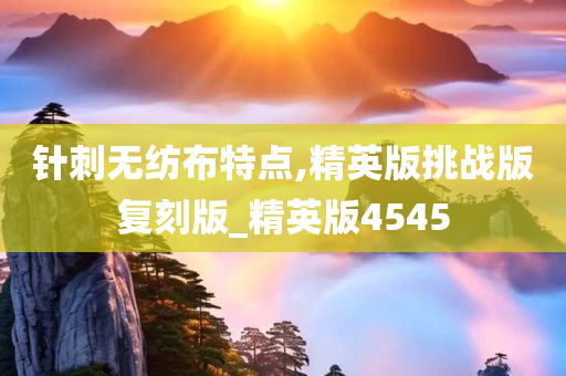 针刺无纺布特点,精英版挑战版复刻版_精英版4545